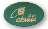 logo1 gimp petit